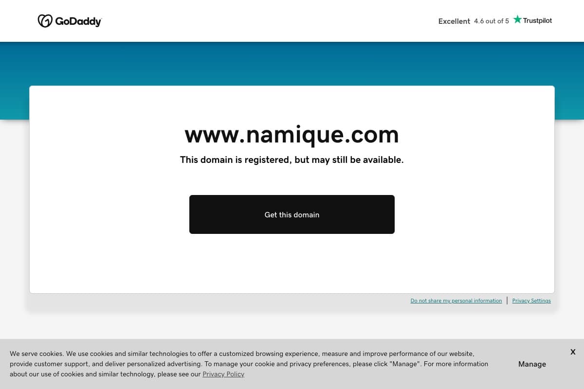 Namique homepage interface - marketing tool review