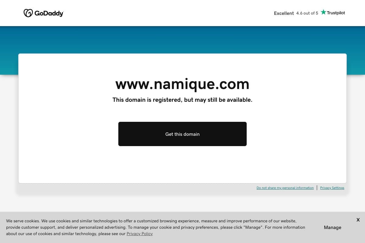 Namique homepage interface - marketing tool review