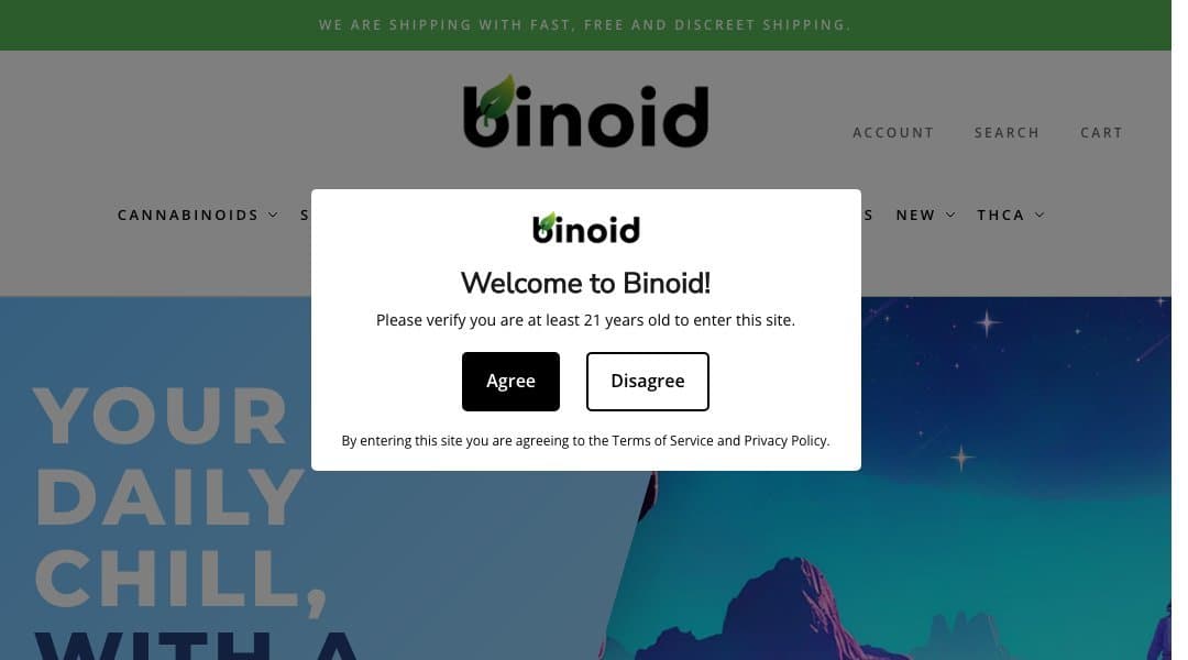 Binoid homepage interface - marketing tool review