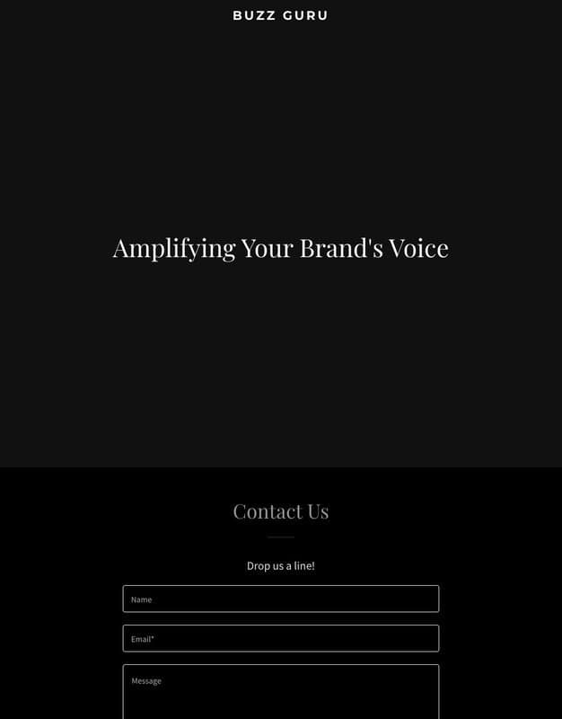 BuzzGuru homepage interface - marketing tool review