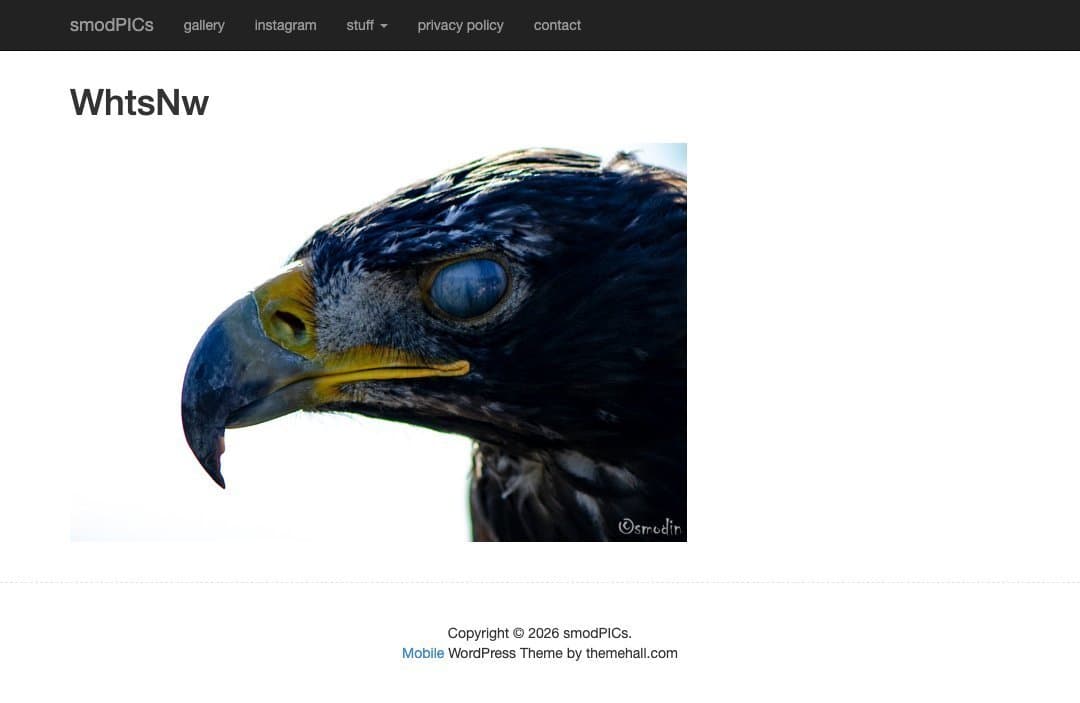 Smodin homepage interface - marketing tool review