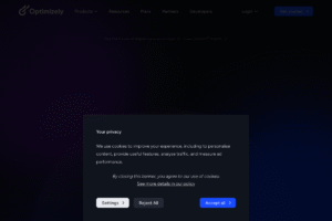 Optimizely Review: Complete Guide for 2025 – Features, Pricing & Alternatives logo